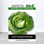 Насіння капусти Харківська зимова, 0,5 кг
